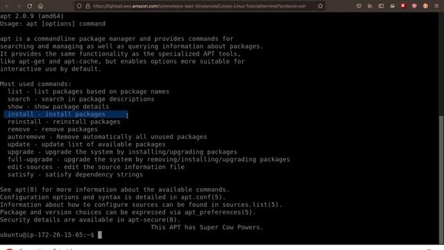 APT Package Manager Tutorial | Linux The Easy Way смотреть онлайн