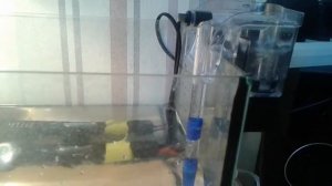 внешний фильтр для красноухих черепах SY-G02, чистый аквариум