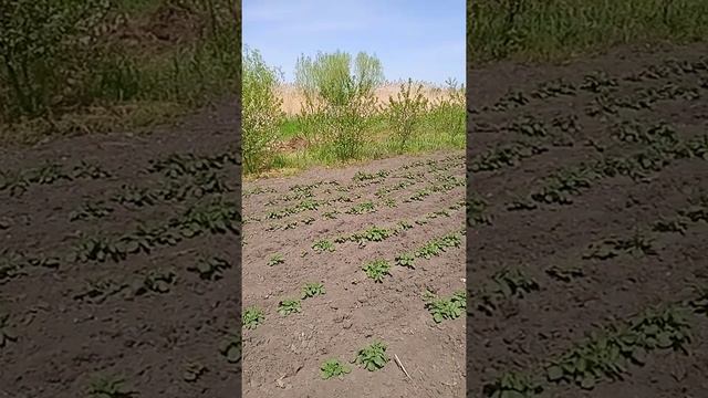 Я чувствую себя жителем общественного туалета. смотреть онлайн