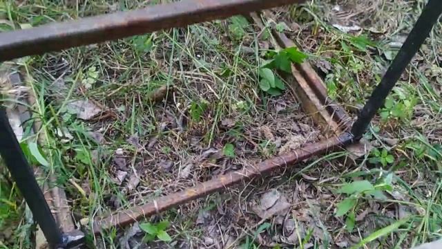 Как я избавился от муравьев в ульях смотреть онлайн