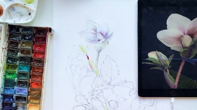 Рисуем в прямом эфире. Как научиться работать с цветом смотреть онлайн