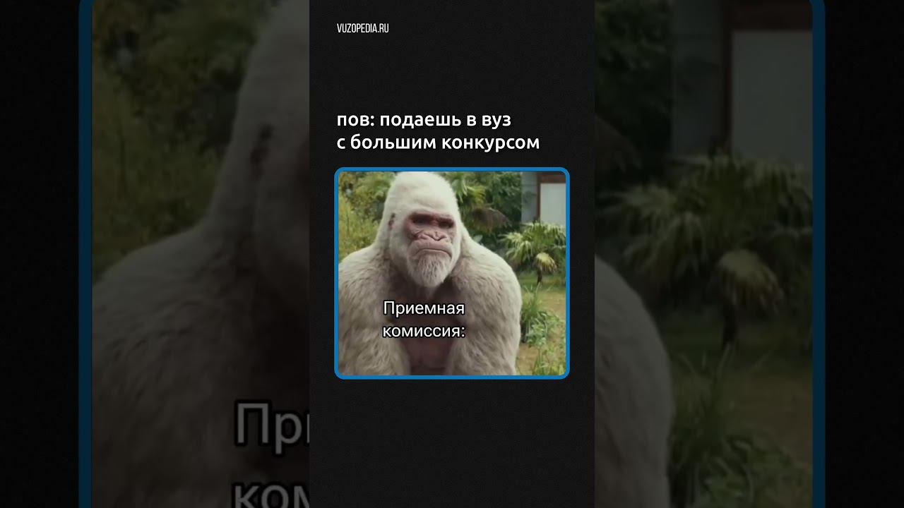 Vuzopedia.ru: поступи в вуз мечты