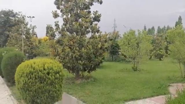 Красивые парки города Душанбе / Таджикистан 🇹🇯 / Весна смотреть онлайн