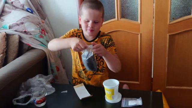 Открываем подарок - вырасти свой кактус смотреть онлайн