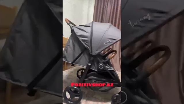Коляска прогулочная для двойни Rant Twinny смотреть онлайн