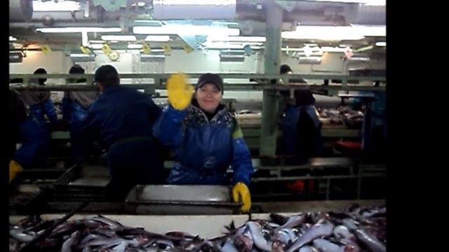 работа в море. смотреть онлайн