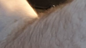 Механическая чистка кондиционера Ballu | Как почистить кондиционер своими руками |