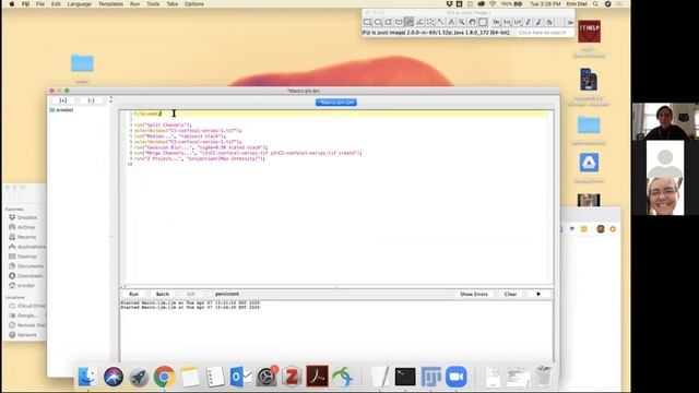 Introduction to automation in ImageJ and Fiji смотреть онлайн