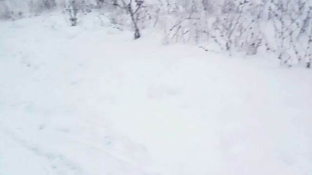 Мы улетели....................ЖЕСТЬ мы дураки смотреть онлайн