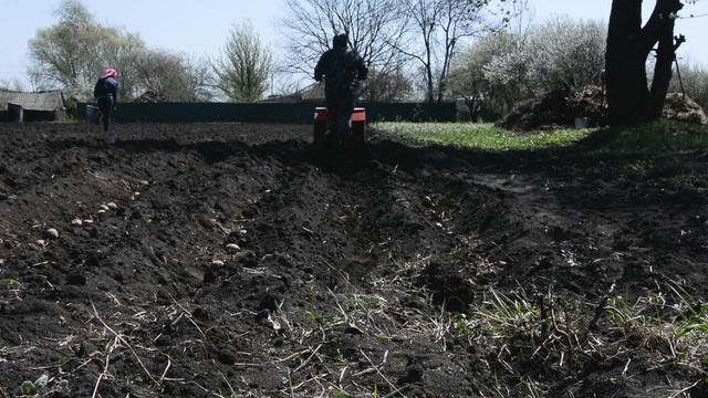 Посадка картофеля под мотоблок на жигулевских колесах смотреть онлайн