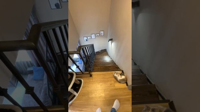 Рум-тур барнхауса без коридоров на 117 квм с тремя спальнями смотреть онлайн