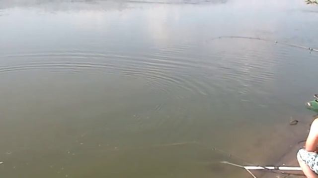 ЗДОРОВЕННЫЙ САЗАН. Река Урал смотреть онлайн