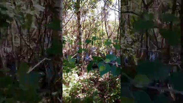 Вода переливается в речку под землёй смотреть онлайн