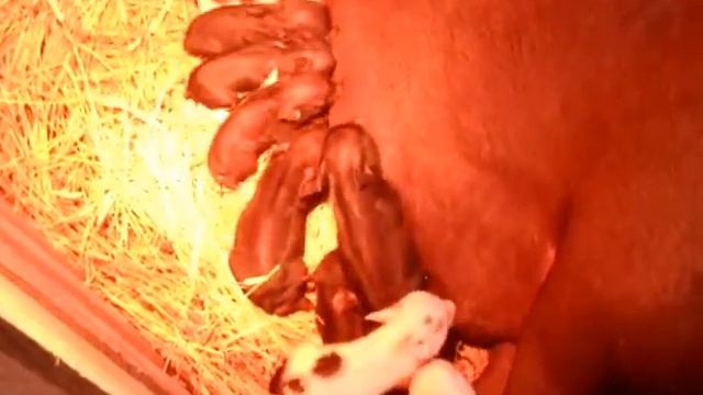 Первый день после родов