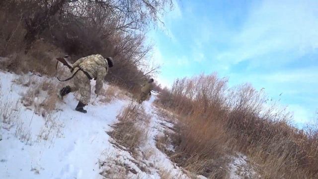 Қырғауыл аң аулау, Охота на фазана, Pheasant hunt 191202 Hatsan escort xtreme смотреть онлайн