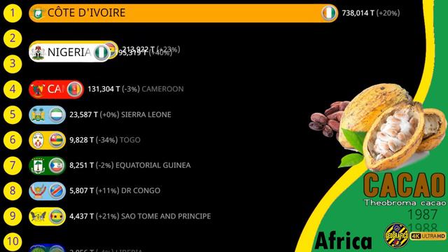 THE LARGEST CACAO PRODUCERS IN THE WORLD, AMERICA'S, AFRICA, ASIA AND OCEANIA смотреть онлайн