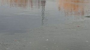 Плотва на поплавок в марте !!! #рыбалка