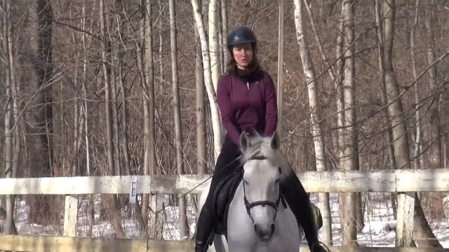 Катя урок 18.03 строевая рысь + интервью. Школа верховой езды Гармония смотреть онлайн