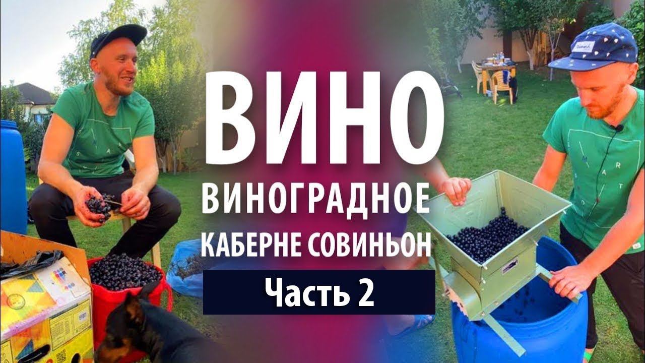 Вино из винограда «Каберне Совиньон» в домашних условиях | Часть 2 смотреть онлайн