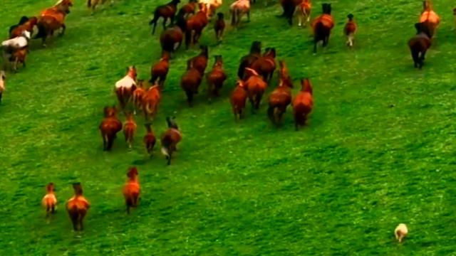 New #respect 🎶Расслабляющая Красивая музыка фортепиано с пением птиц 🎼Relaxation 🎼Nature 🎼Piano смотреть онлайн