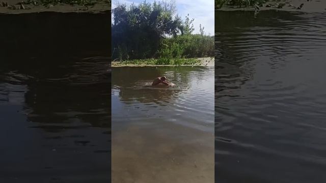 Пранк над сэнсэем! Остался ГОЛЫМ! inst: psawkin смотреть онлайн