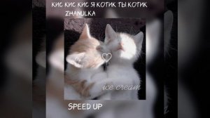 кис кис кис я котик ты котик -zhanulka  speed up