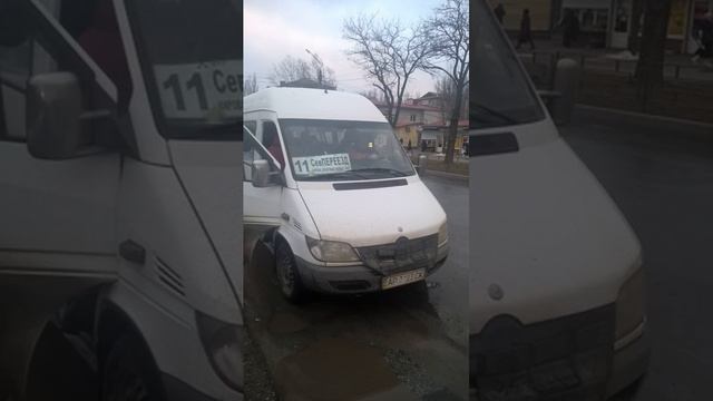 Водителям мелитопольских маршруток закон не писан смотреть онлайн