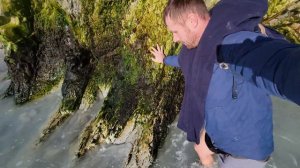 Вокруг Черного моря Пешком по берегу/ Новороссийск(Малая Земля)-Широкая балка-Южная Озереевка.Часть