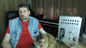 Чем сервопривод отличается от шагового мотора?