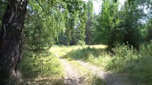 Волчихинское вдхр. | Флюс | ПВД