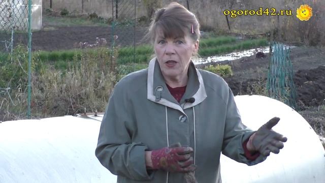 Подзимний посев: что сеять? Когда сеять? И как? смотреть онлайн