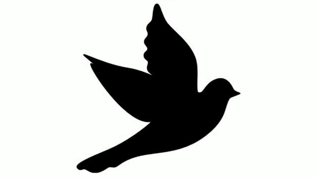 Чёрно-белые картинки для детей. Животные. смотреть онлайн