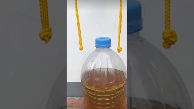 УЗЕЛ смотреть онлайн