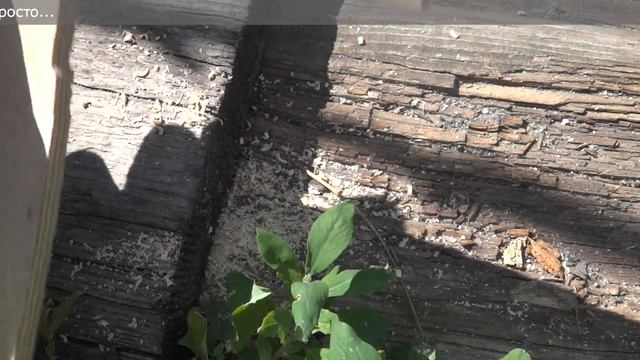 Ступенчатые сверла из Китая смотреть онлайн