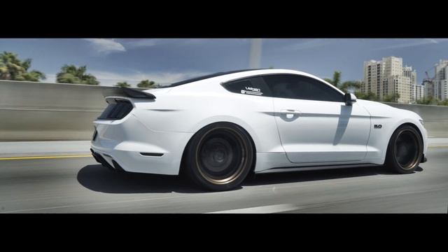 Ford Mustang S550 Bagged | Velgen Forged VFMP | 20" смотреть онлайн