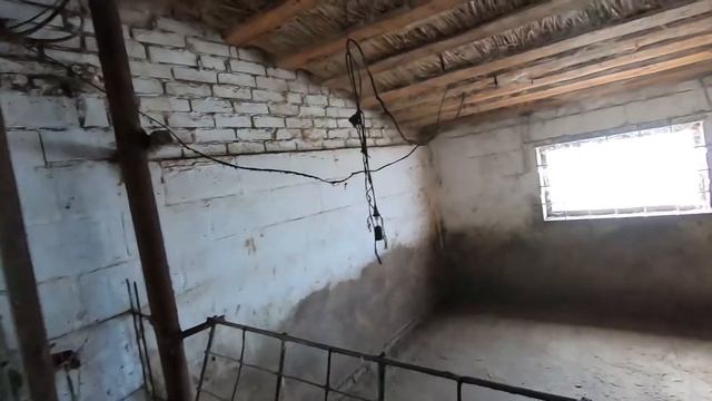 УБОРКА В СВИНАРНИКЕ ИЗ ГОРОДА В ДЕРЕВНЮ / питерцы