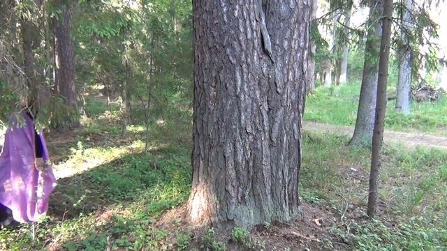 Песня "Она танцует" смотреть онлайн