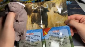 В ПОИСКАХ СИМБЫ! ПОВЕЛИТЕЛИ САВАННЫ от Сбабам / Вся коллекция