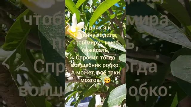 стишки пирожки смотреть онлайн