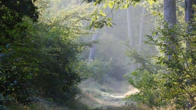 Наконец-то я поняла,что такое ,,Красота жизни" смотреть онлайн