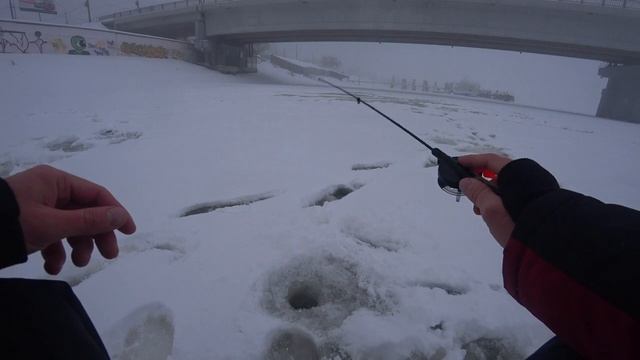 Окунь на балансир Rapala Jigging Rap смотреть онлайн