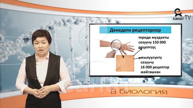 Биология 8 класс 49 сабак смотреть онлайн
