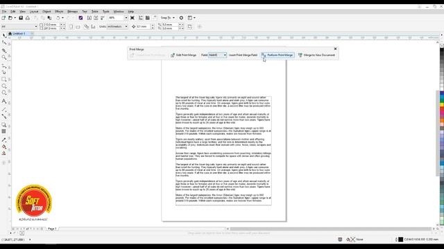 How to use PRINT MERGE OPTION - Corel Draw in Tamil Tutorial / Soff Tutor смотреть онлайн