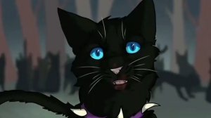 Подборка из Тик Тока - Коты Воители #3