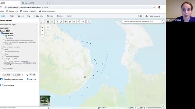 Детальные космоснимки для выявления залежек тюленей. Вебинар М. Дорофеевой, 13.01.2019 смотреть онлайн