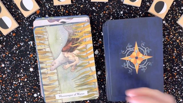 The Witches Wisdom Tarot || Unboxing and First Impressions Walkthrough смотреть онлайн