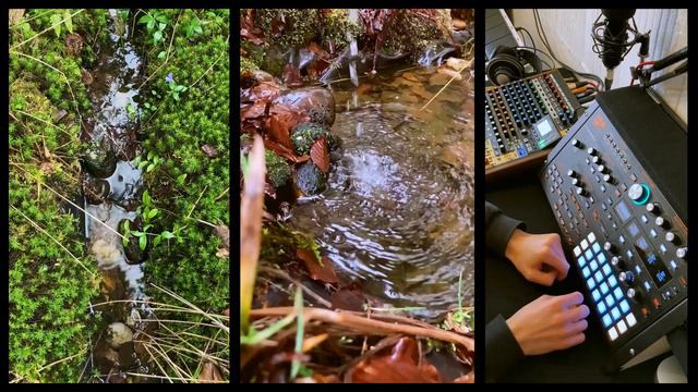 Watershed - A Lazy Arpeggiator Jam смотреть онлайн