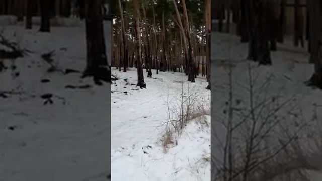 Мои трюки на снегокате. смотреть онлайн
