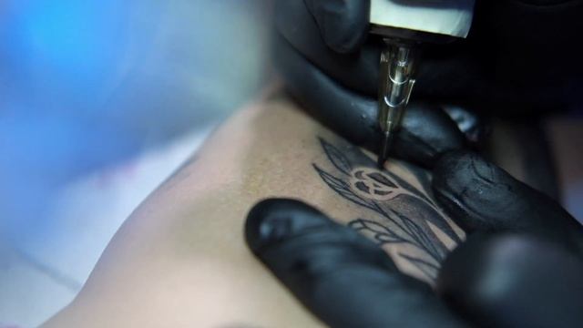 Детальный обзор ZOON от Mustang tattoo смотреть онлайн