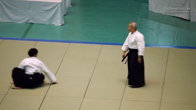 54-я Всеяпонская демонстрация айкидо (2016). Сейсиро Эндо